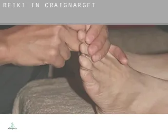 Reiki in  Craignarget