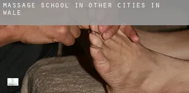 Massage school in Other cities in Wales