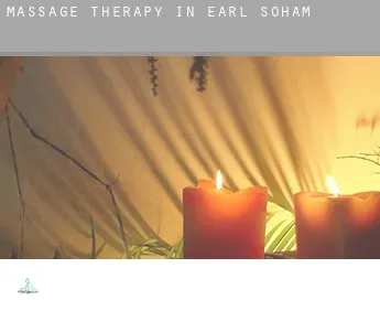 Massage therapy in  Earl Soham