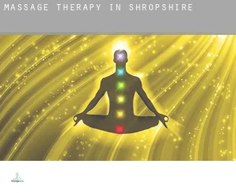 Massage therapy in  Shropshire