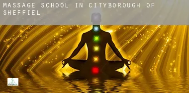 Massage school in Sheffield (City and Borough)