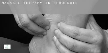 Massage therapy in  Shropshire