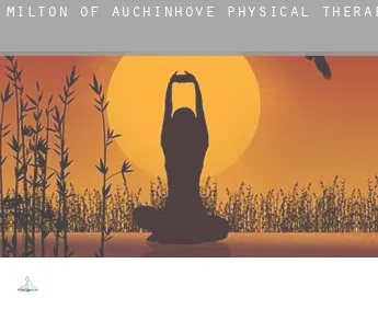 Milton of Auchinhove  physical therapy