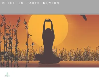 Reiki in  Carew Newton