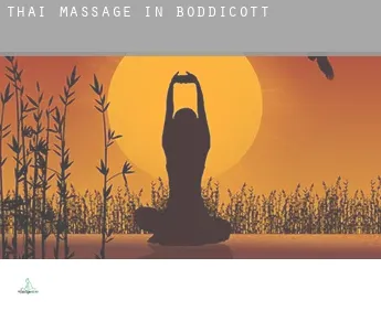 Thai massage in  Boddicott