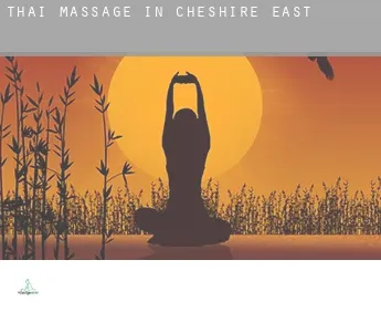 Thai massage in  Cheshire East