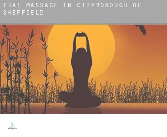 Thai massage in  Sheffield (City and Borough)