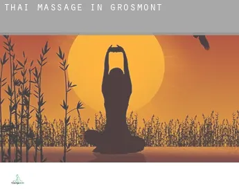 Thai massage in  Grosmont