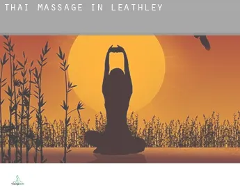 Thai massage in Leathley