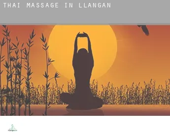 Thai massage in  Llangan