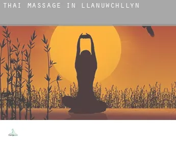 Thai massage in  Llanuwchllyn