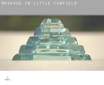 Massage in  Little Canfield