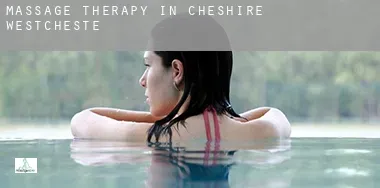 Massage therapy in  Cheshire West and Chester
