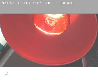 Massage therapy in Cliburn