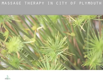 Massage therapy in  City of Plymouth