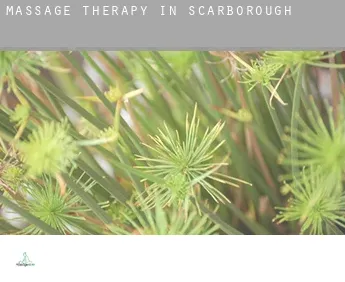 Massage therapy in  Scarborough