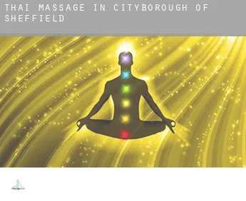 Thai massage in  Sheffield (City and Borough)