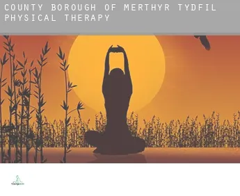 Merthyr Tydfil (County Borough)  physical therapy