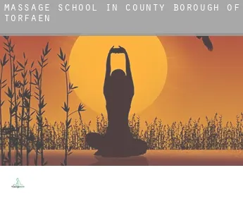 Massage school in  Torfaen (County Borough)