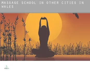 Massage school in  Other cities in Wales