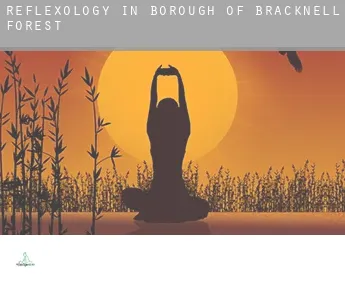 Reflexology in Bracknell Forest (Borough)