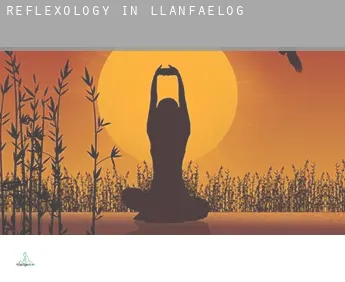 Reflexology in Llanfaelog