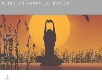 Reiki in  Cropwell Butler