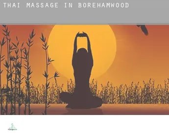 Thai massage in  Borehamwood
