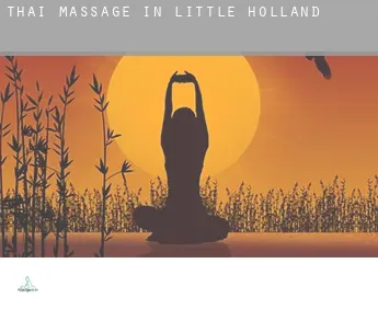 Thai massage in  Little Holland