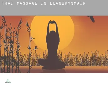 Thai massage in Llanbrynmair