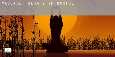 Massage therapy in  Norfolk