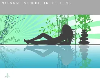 Massage school in  Felling