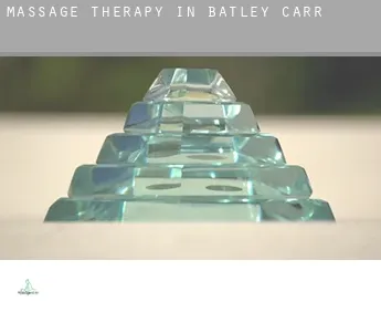 Massage therapy in  Batley Carr