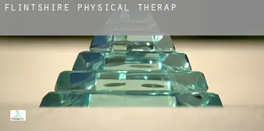 Flintshire County physical therapy