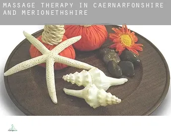 Massage therapy in  Caernarfonshire and Merionethshire