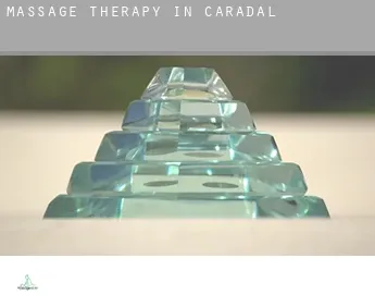 Massage therapy in  Caradal