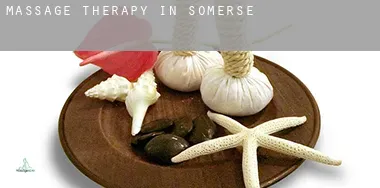 Massage therapy in  Somerset