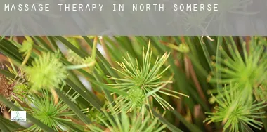 Massage therapy in  North Somerset
