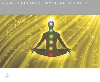 Great Hollands  physical therapy
