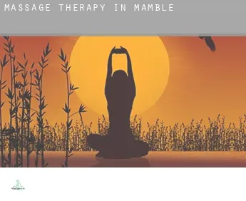 Massage therapy in Mamble