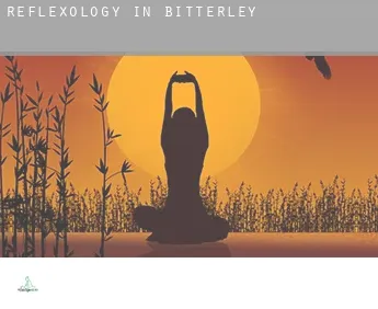 Reflexology in  Bitterley