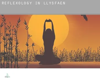 Reflexology in  Llysfaen