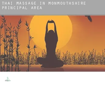 Thai massage in  Monmouthshire principal area