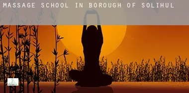 Massage school in Solihull (Borough)