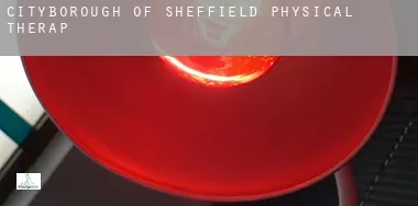 Sheffield (City and Borough) physical therapy