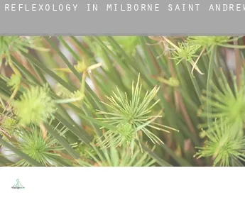 Reflexology in  Milborne Saint Andrew