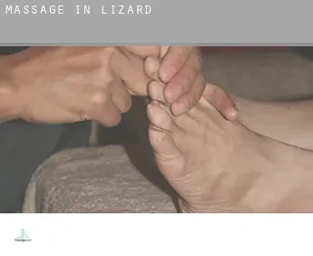 Massage in  Lizard