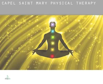 Capel Saint Mary  physical therapy