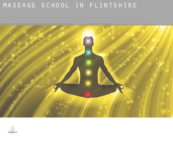 Massage school in  Flintshire County