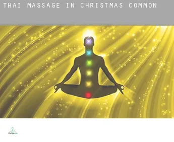 Thai massage in Christmas Common